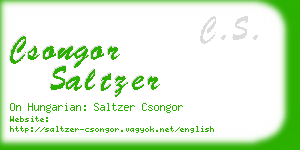 csongor saltzer business card